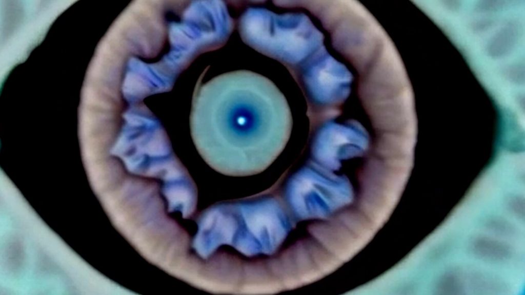 100 - Gesamt Timeline00086561