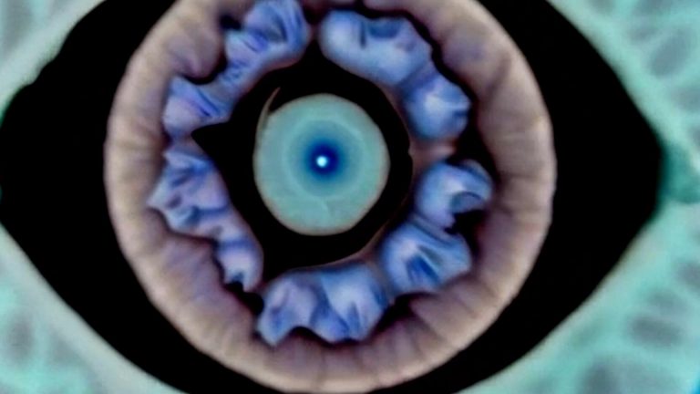 100 - Gesamt Timeline00086561