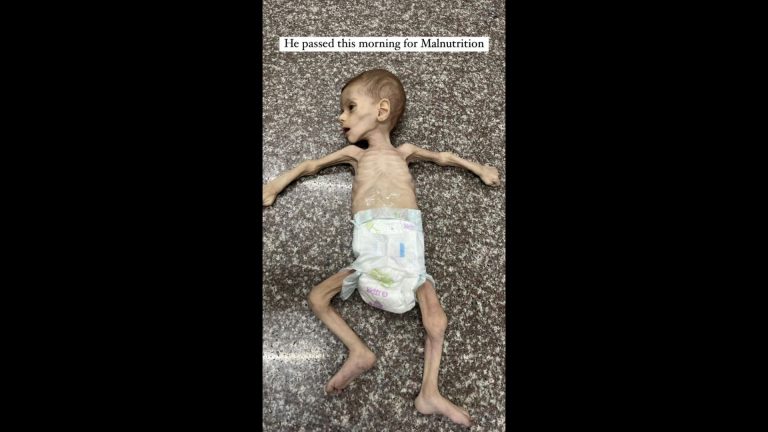 100 - Gesamt Timeline00090801